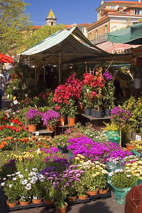 Flower market in Nice France on the riviera photo