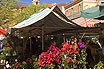 Marché Aux Fleurs à Nice En France Sur La Côte D'Azur